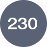 230 Lumens