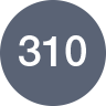 310 Lumens
